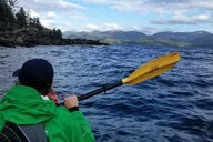 Ketchikan Kayak Tour with Boat Launch thumbnail 3