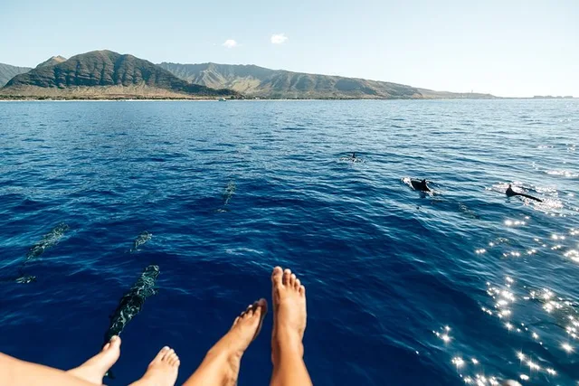 Oahu Sunset Charter with Tasting and Drinks - Image 6
