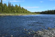 Jackson Snake River Fishing Trip thumbnail 1