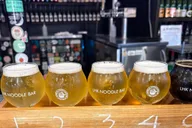 San Diego Beer Tasting Tour thumbnail 4