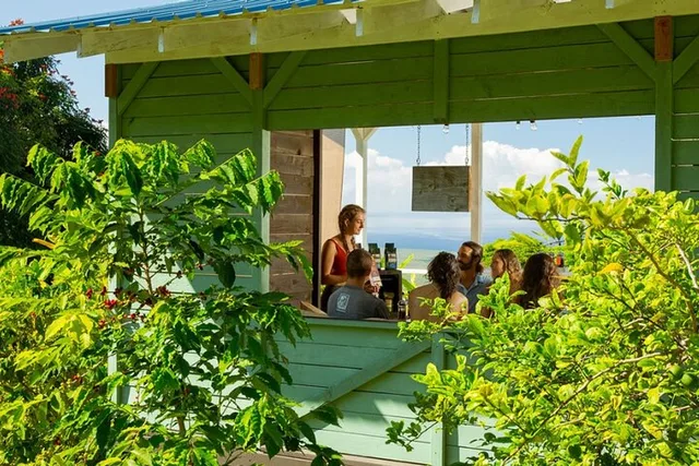 Oahu Coffee Brewing Class - Image 2