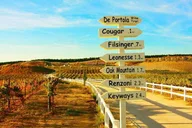 Temecula Wine Tasting Tour thumbnail 2