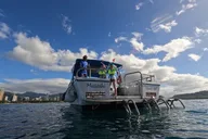 Honolulu Snorkeling Tour at Turtle Canyon 3 hr thumbnail 5