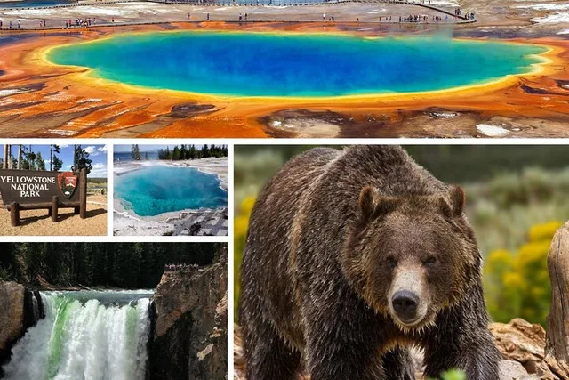 Yellowstone National Park Upper Loop Tour - Image 5