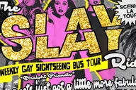 Los Angeles Gay Sightseeing Booze Bus Tour thumbnail 1