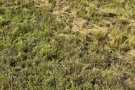 Miami Horseback Riding Tour thumbnail 6