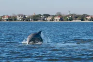 Charleston Harbor Historic Boat Cruise thumbnail 4