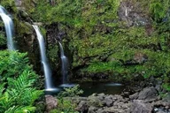 Maui Road to Hana Rainforest and Waterfall Tour thumbnail 3