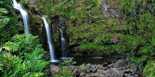 Maui Road to Hana Rainforest and Waterfall Tour - Image 3