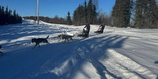 Fairbanks Dog Mushing School 2 hr - Image 1