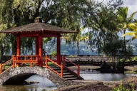 Hilo Waterfalls and Volcanoes Guided Tour thumbnail 4