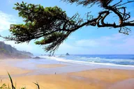 Portland Oregon Coast Tour thumbnail 6
