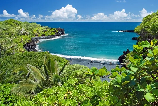 Maui Road to Hana Limo-Van and Helicopter Tour - Image 4