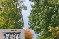 Traverse City Wine Tour Old Mission Peninsula 4 hr thumbnail 4