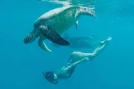 Waikiki Turtle Snorkel and Sail on Hawea Catamaran thumbnail 3