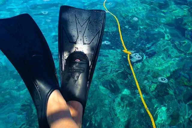 Key West Reef Snorkel & Sail Adventure - Image 5