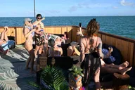 Key West Sunset Sail and Dolphin Watching thumbnail 5
