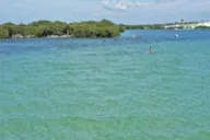 Tarpon Springs Clear Kayak Tour thumbnail 4