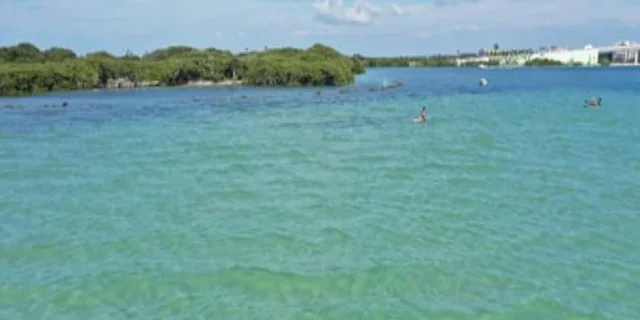 Tarpon Springs Clear Kayak Tour - Image 4
