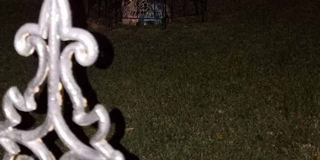 Galveston Ghost Walking Tour on the Strand - Image 6