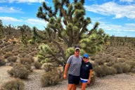 Las Vegas to Los Angeles Tour via Joshua Tree thumbnail 2