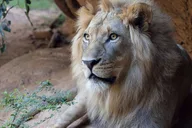 Atlanta Zoo Admission thumbnail 2