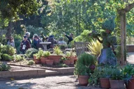 San Diego Scenic and Botanical Tour thumbnail 6