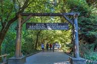 San Francisco Alcatraz Tour with Muir Woods & Sausalito thumbnail 3