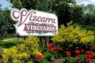 Niagara Wine Trail Private Wine Tour thumbnail 6