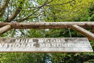 San Francisco Muir Woods and Sausalito Tour thumbnail 5