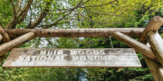 San Francisco Muir Woods and Sausalito Tour - Image 5