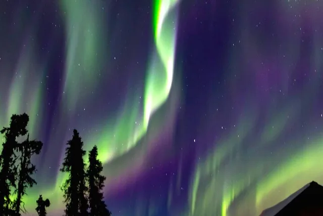 Fairbanks Aurora Chasing Tour 4 hr - Image 6