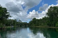 Florida Rainbow River Snorkel or Dive thumbnail 4