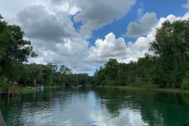Florida Rainbow River Snorkel or Dive - Image 4