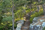 Acadia Private Tour with Local Guide 3 hr thumbnail 5