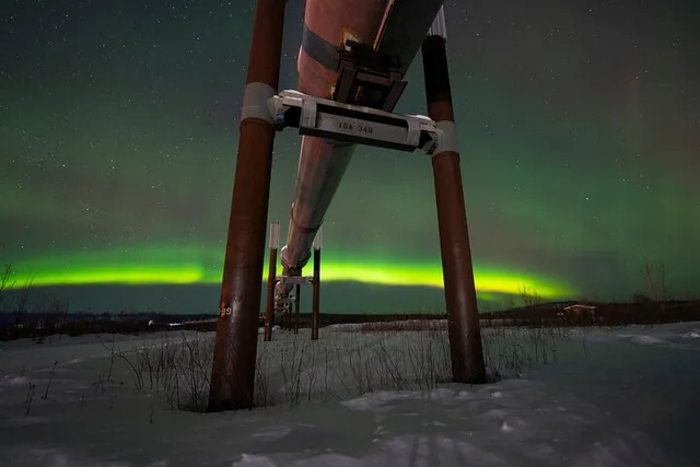 Fairbanks Arctic Circle Expedition - Image 5
