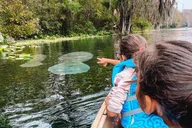 Silver Springs Glass Bottom Kayak Rental thumbnail 6