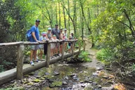 Pigeon Forge Nature Hike to Historic Schoolhouse 2.5 hr thumbnail 1
