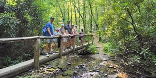 Pigeon Forge Nature Hike to Historic Schoolhouse 2.5 hr