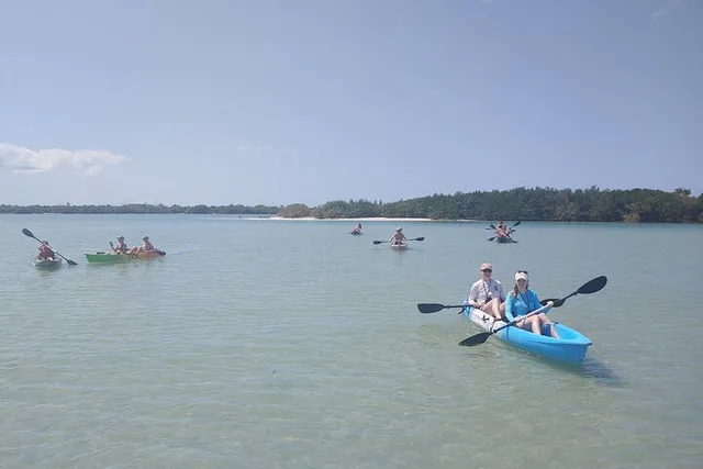 Tampa Bay Kayak Tour of Shell Key Preserve - Image 4