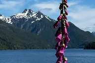 Sitka 4x4 Adventure Tour with Lunch thumbnail 3