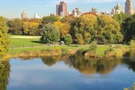New York City Central Park Private Bike Tour with Picnic thumbnail 4