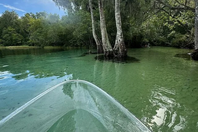 Silver Springs Clear Kayak and Paddle Board Rental - Image 2