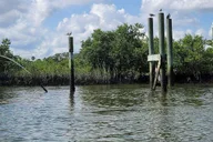 St. Augustine Salt Marsh Kayak Tour thumbnail 6