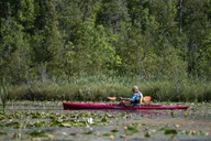 Door County Wetlands Kayak Tour thumbnail 1