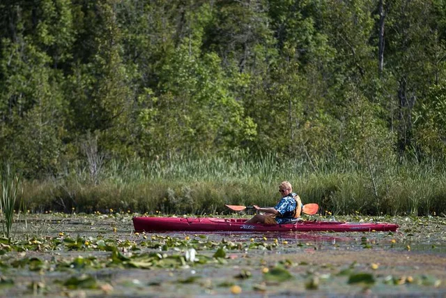 Door County Wetlands Kayak Tour - Image 1