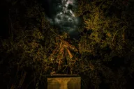 Savannah Haunted Pub Crawl thumbnail 4