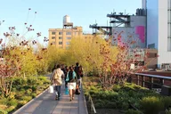New York Chelsea Neighborhood Private Tour thumbnail 6