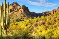 Sedona Day Trip from Phoenix thumbnail 3