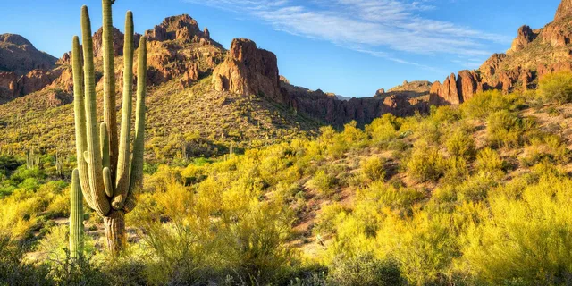 Sedona Day Trip from Phoenix - Image 3